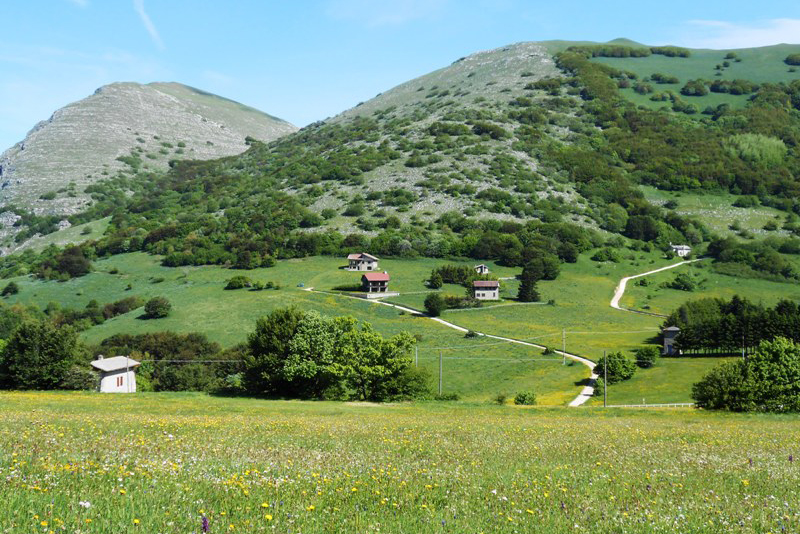 Galleria panoramica