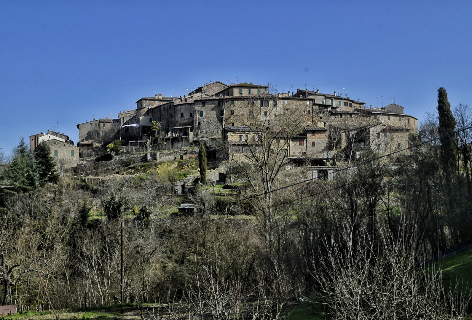 Galleria panoramica