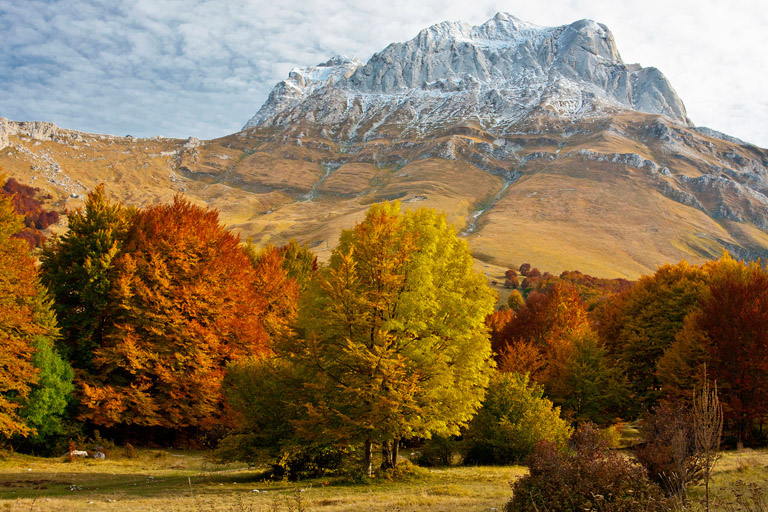 Galleria panoramica