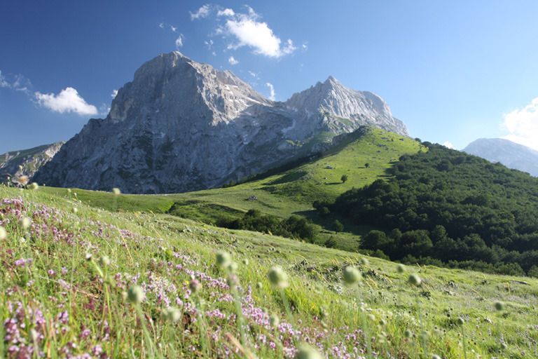 Galleria panoramica