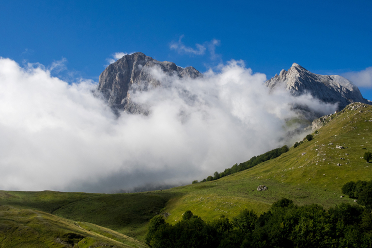 Galleria panoramica