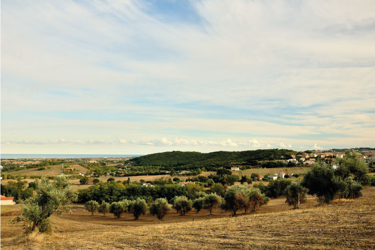Galleria panoramica