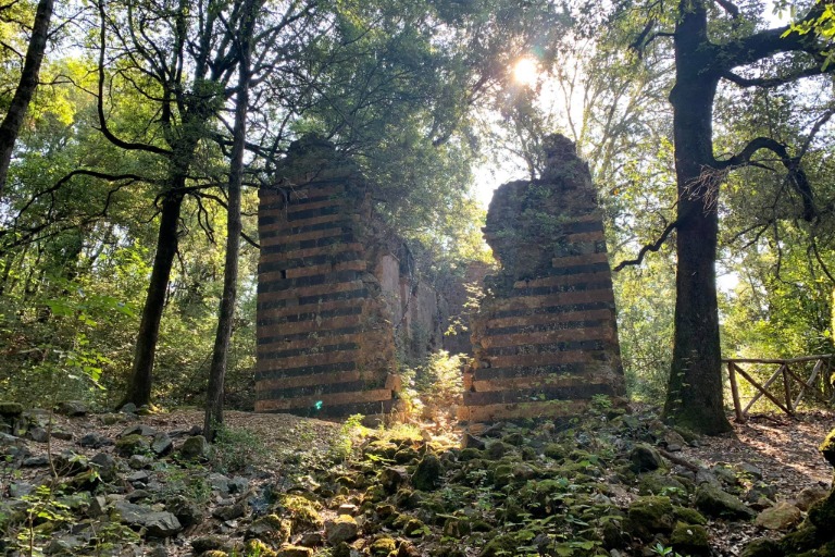 Galleria panoramica