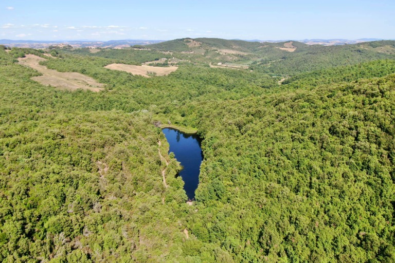 Galleria panoramica