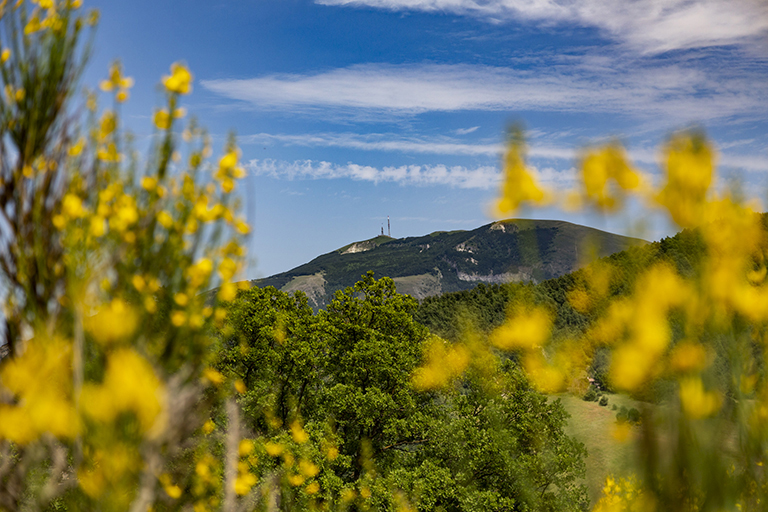 Galleria panoramica