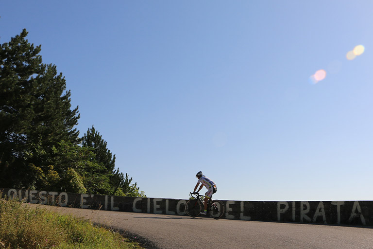 Galleria panoramica