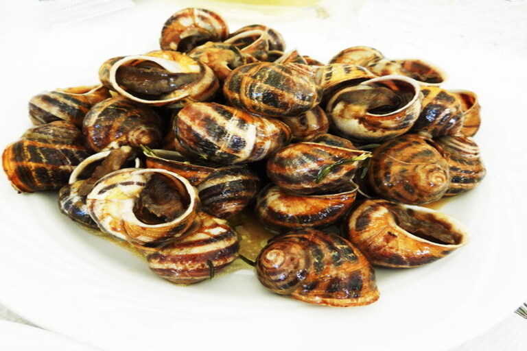 Img Gastronomia
