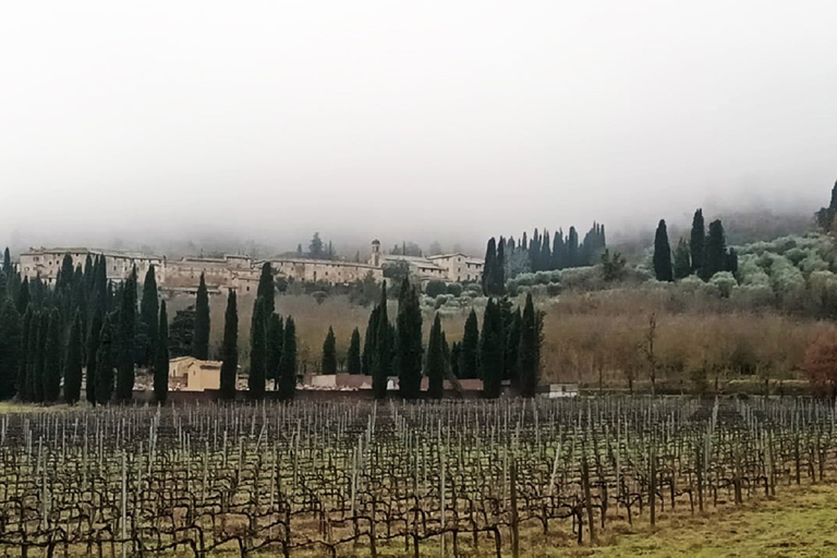 Galleria panoramica