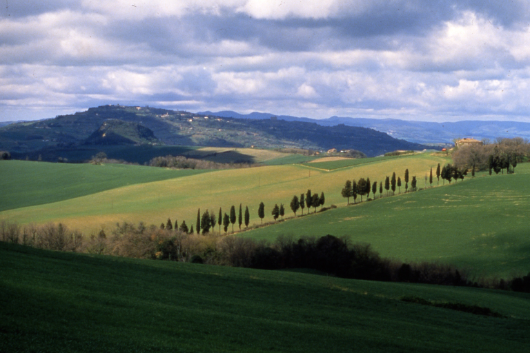 Galleria panoramica