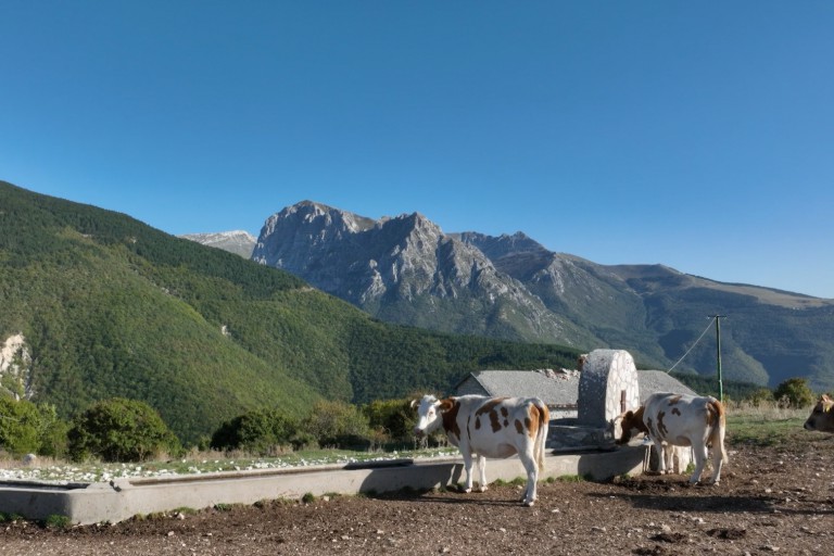 Galleria panoramica